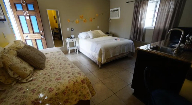 Номер Deluxe Villa Brasil Motel