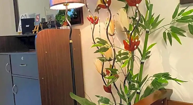 Cozy Boo Bed and Breakfast near Enchanted Kingdom by Dynel, Rezervasyon Otel Laguna ucuz oteller