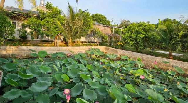 Двухместный номер Standard с видом на парк Homestay Sen & Zen Villa Vũng Tàu