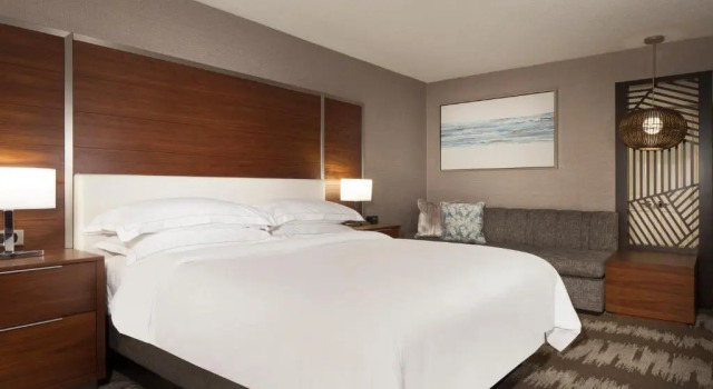 Двухместный гостевой номер Hilton Tampa Airport Westshore