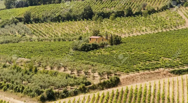 Апартаменты с 2 комнатами Agriturismo Nobile