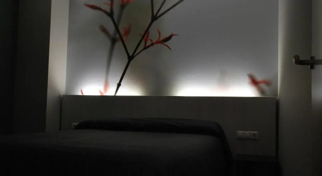 Апартаменты Standard Aparthotel Meseguer