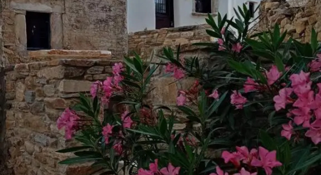 Monitsia Traditional House, Забронировать Дом для отпуска Халкио Греция