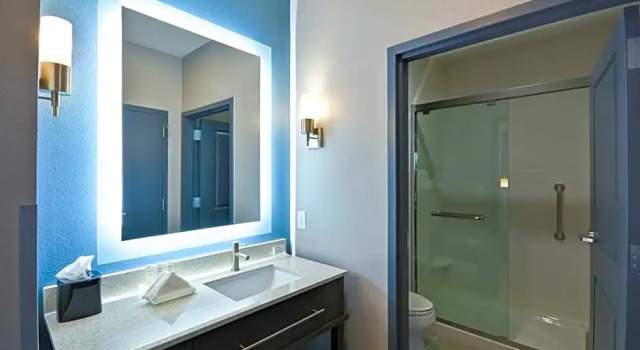 Четырёхместный номер Standard Homewood Suites by Hilton Conroe
