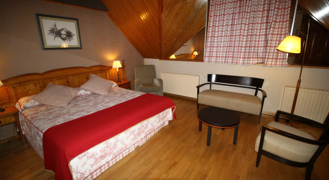 Двухместный номер Standard Villa De Sallent 3