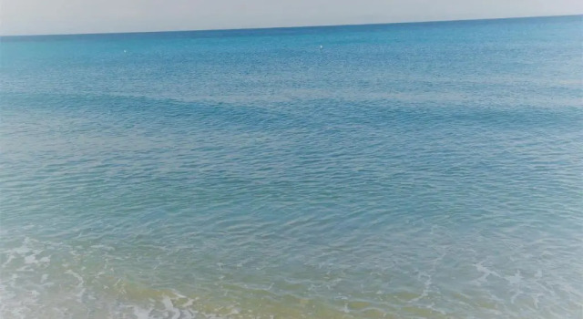 Апартаменты Hippocampοus Niki's Beach House