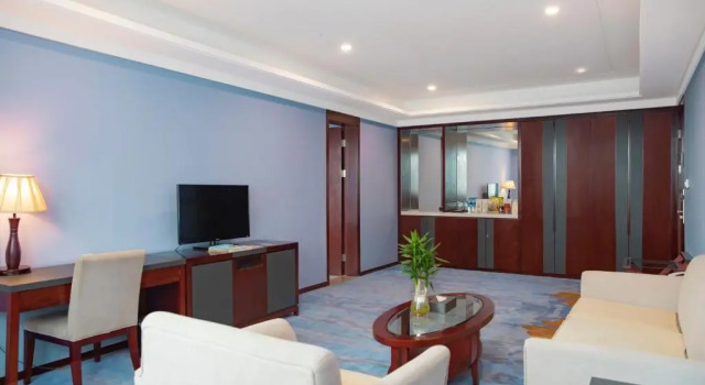Двухместный люкс Superior Novotel Guiyang Panjiang