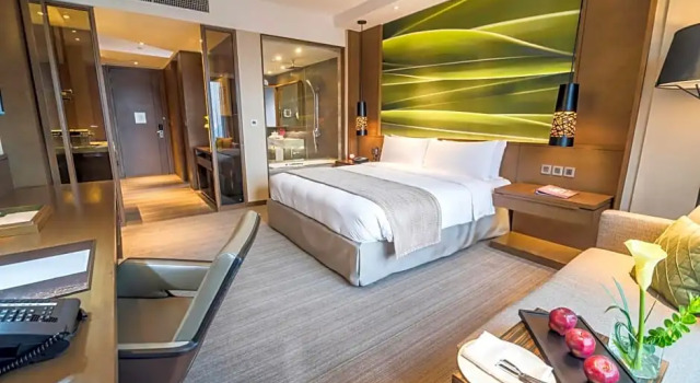 Номер Deluxe с видом на горы Marco Polo Ortigas Manila