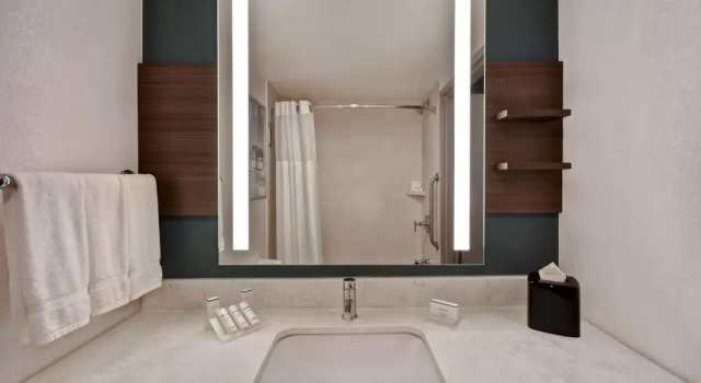 Двухместный номер Hilton Garden Inn Houston/Galleria Area