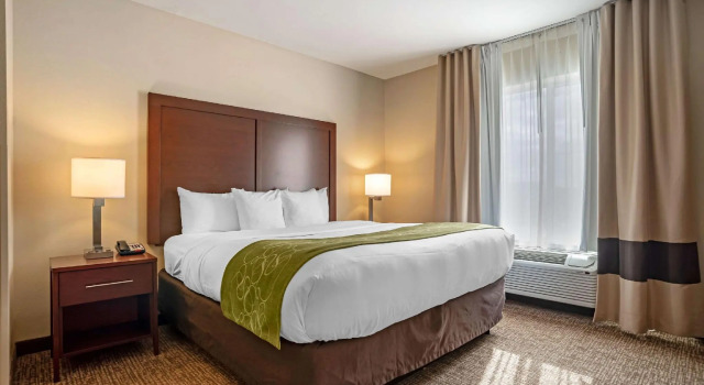 Двухместный люкс Comfort Suites Foley - North Gulf Shores