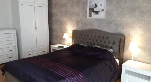 Апартаменты Deluxe Mickeviciaus str apartment