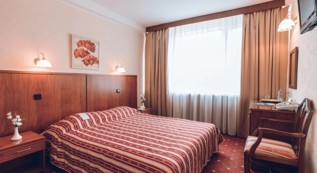 Standard Doppel Zimmer mit Blick Premier Hotel Rus