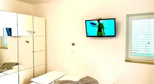 Apartment Carevic
