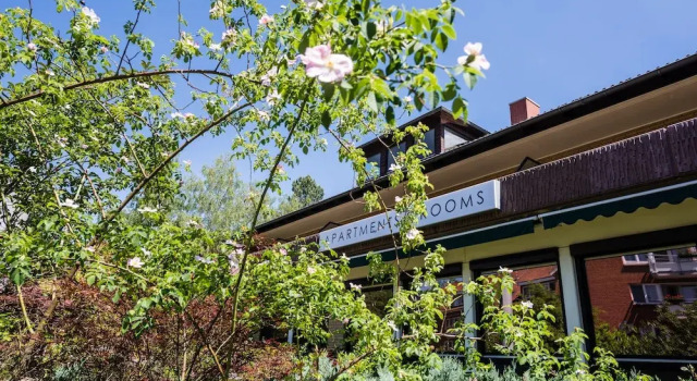 Forest Apartments & Rooms