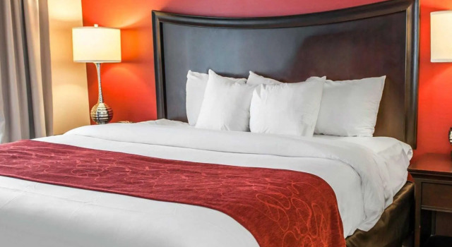 Двухместный люкс Holiday Inn - Indianapolis Downtown by IHG