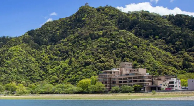 Одноместный номер Standard Nagaragawa Spa Hotel Park