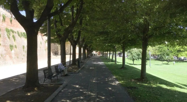 Апартаменты Monolocale in villa, a 300 metri dal centro