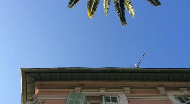 Hotel Villa Rose