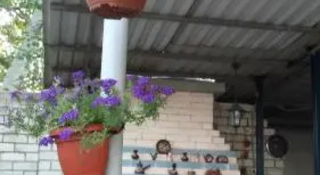 Guest House Solnechnaya dacha 2