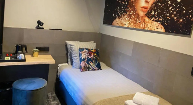Одноместный номер Premium Hotel de Prince