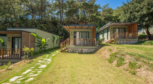 Люкс Palm Sea Valley Lodge