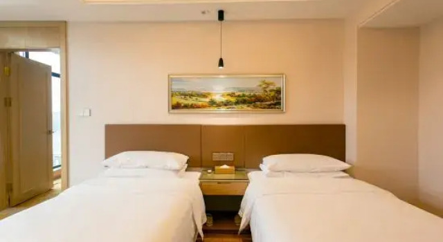 Люкс Vienna International Hotel (Gaozhuang Starlight Night Market Branch)
