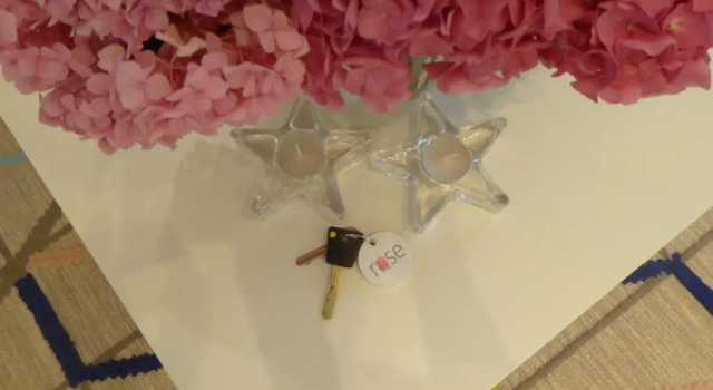 Студия Tulip & Rose Zagreb Apartment