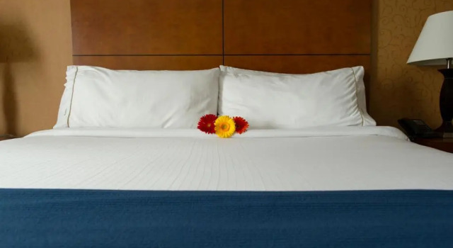 Номер Standard Sandman Hotel & Suites London Downtown