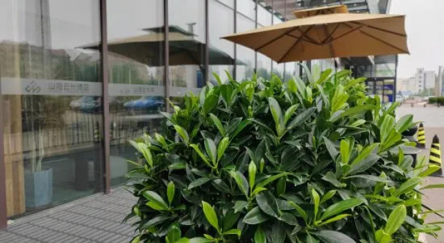 Rongcheng Shanhai Yunguang Hotel (Sports Center Sakura Lake Branch), Prenota Hotel Weihai Shandong