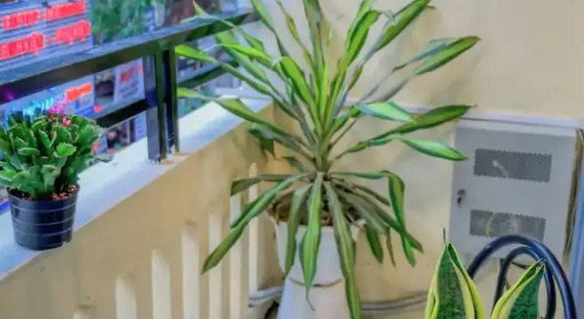 Двухместный номер Standard Hanoi Family Homestay