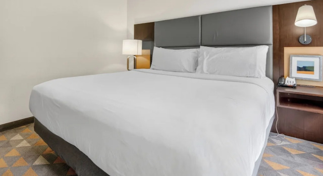 Люкс c 1 комнатой Holiday Inn and Suites Addison by IHG