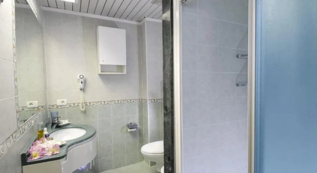 Трёхместный номер Standard с частичным видом Hotel Losanna