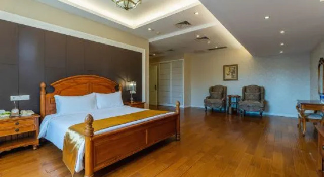 Люкс Presidential Bisheng Hot Spring Hotel