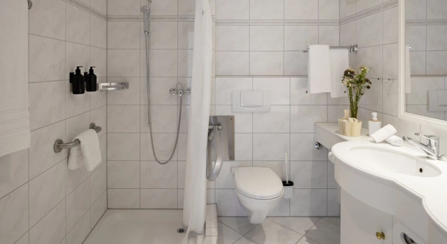 Номер Deluxe Vegan Health Hotel Sonnenberg