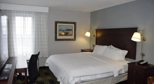 Двухместный номер Deluxe Wingate by Wyndham Baltimore BWI Airport