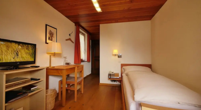Одноместный номер Standard с балконом и с видом на горы Hotel Alpenblick