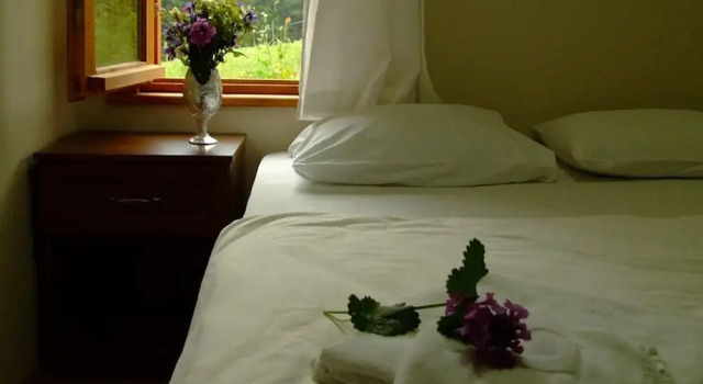 Номер Standard Hamsiköy Zitaş Bungalov & Restoran