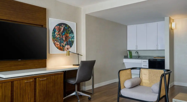 Клубная студия Renaissance Meadowlands Hotel