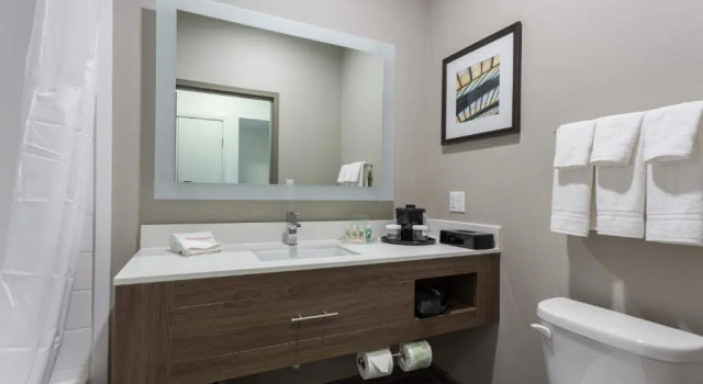 Номер Standard Holiday Inn San Marcos Convention Center by IHG