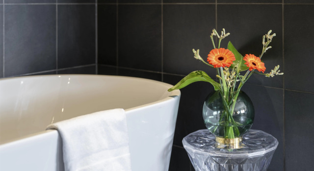 Номер Premium Radisson Blu Riverside Hotel