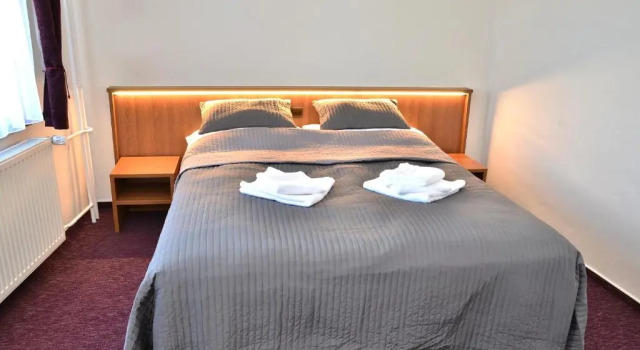 Номер Business Hotel Sonata