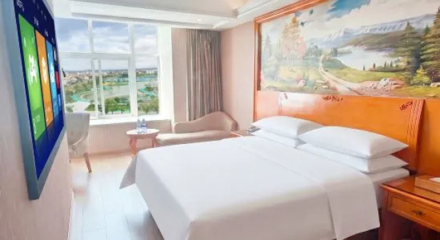 Люкс Deluxe Vienna Hotel (Taihe Chengjiang Avenue)