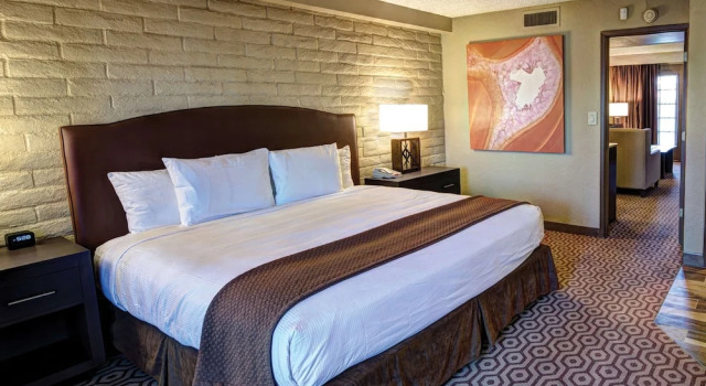 Двухместный номер Standard с 2 комнатами с красивым видом из окна DoubleTree Suites by Hilton Tucson-Williams Center