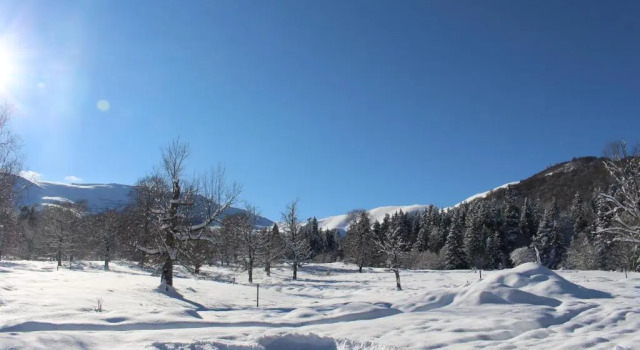 Mountain Villa Didveli, Rezerwuj Willa Bakuriani Samckhe Javakheti