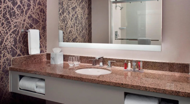 Двухместный люкс Raleigh Marriott City Center