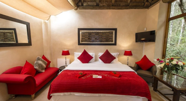 Номер Standard Trogon House and Forest Spa