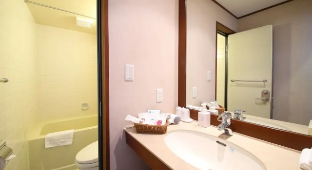 Номер Standard Дуплекс Tateshina Tokyu Hotel
