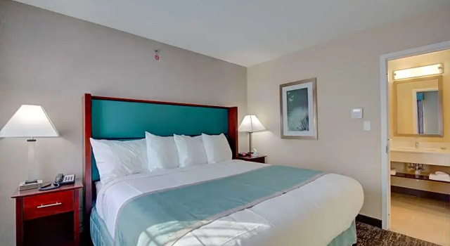 Двухместный люкс c 1 комнатой Best Western Hampshire Inn & Suites