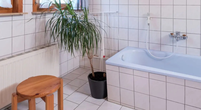 Апартаменты Ferienwohnung, Furtwangen