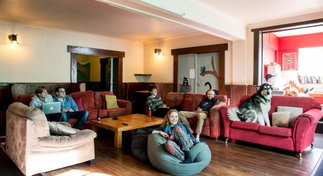 The Pickled Frog - Hostel